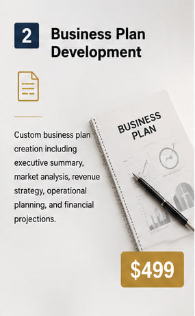 Business Plan Development